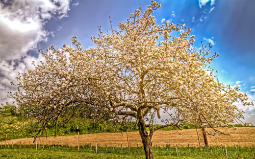 490504 (a): :2560x1600
